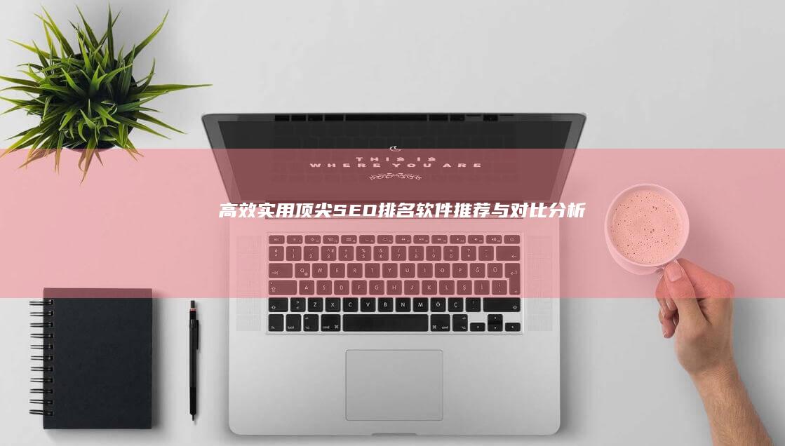 高效实用：顶尖SEO排名软件推荐与对比分析